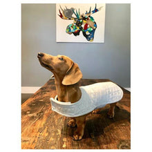 Load image into Gallery viewer, The Dandy Doo Jacket for Small &amp; Large Dogs | Art East Quilting Co

