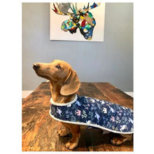 Load image into Gallery viewer, The Dandy Doo Jacket for Small &amp; Large Dogs | Art East Quilting Co
